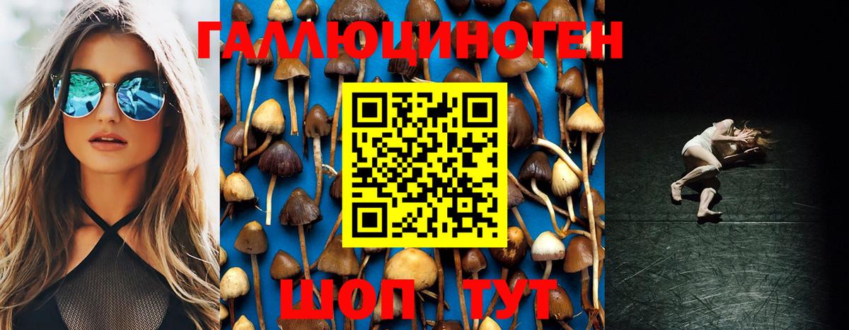 Галлюциногенные грибы Cubensis Кинель