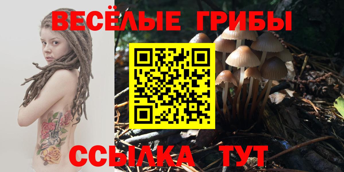 Кинель  Галлюциногенные грибы Cubensis  Вход с VPN  Галлюциногенные грибы Cubensis 